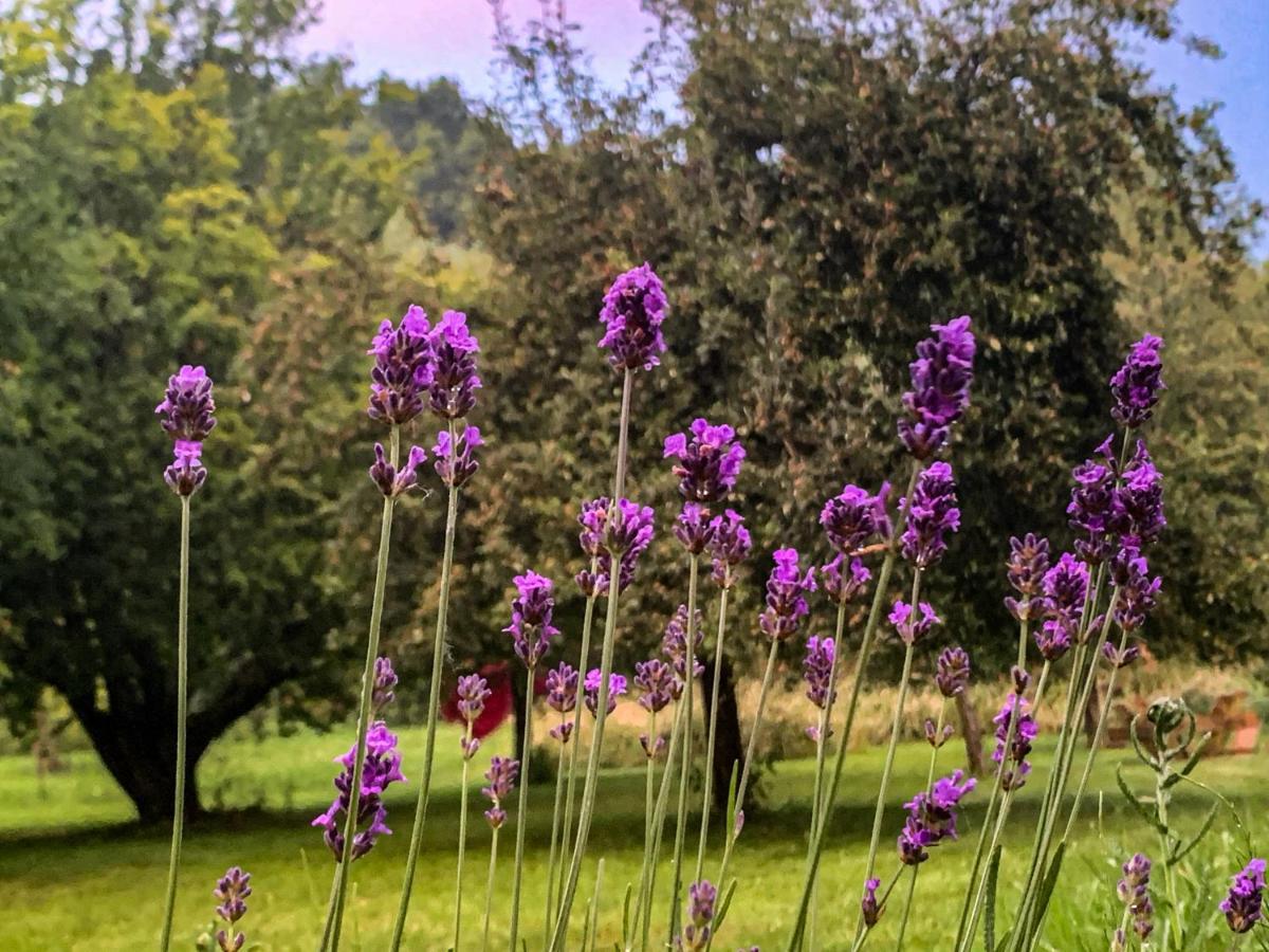 Holiday Home Les Plachettes Flobecq Экстерьер фото
